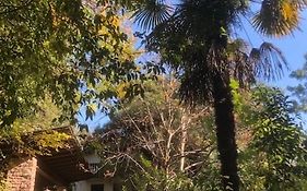 Torre Garden Home - Casa Singola Nella Citta Di Bolzano Con Giardino Privato